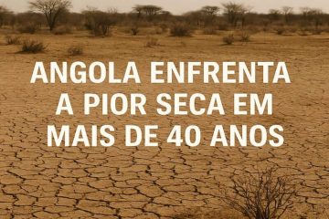 Angola enfrenta a pior seca em mais de 40 anos: uma tragédia silenciosa
